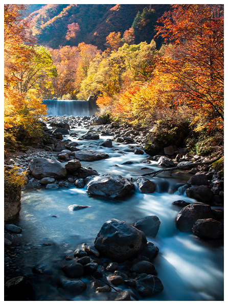日本の風景 自然公園50周年記念 日本の風景 自然公園50周年記念・国立